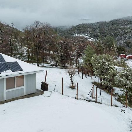 Cherry Cottage 15 Min From Yosemite South Entrance 奥克赫斯特 外观 照片